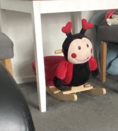 Ride lady bug - ride, on